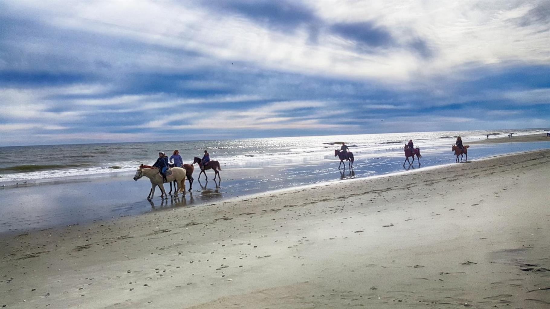 Romantic Oceanfront View, Discounted, Pools Myrtle Beach Eksteriør bilde
